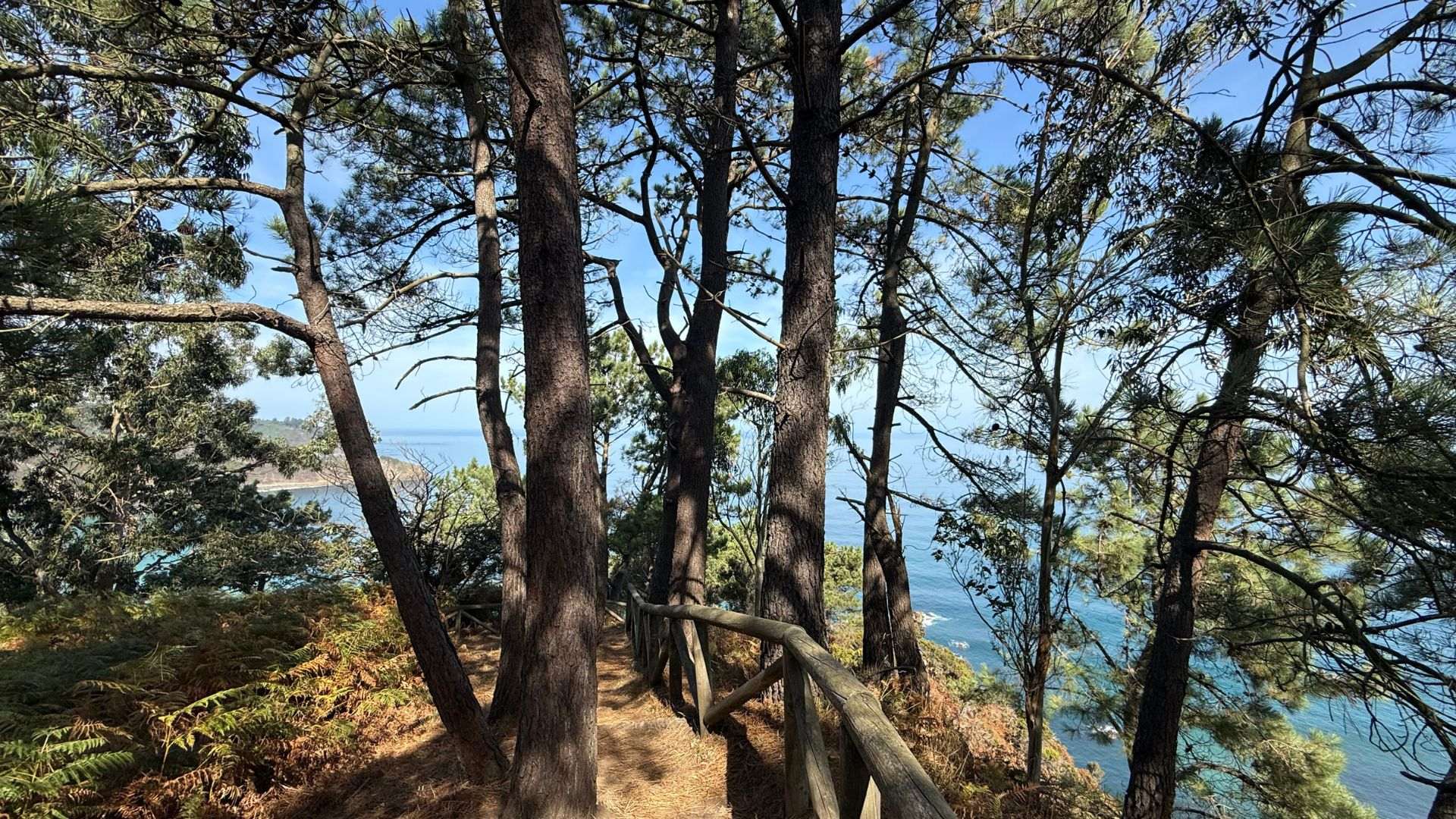 Camino entre verdes y azules