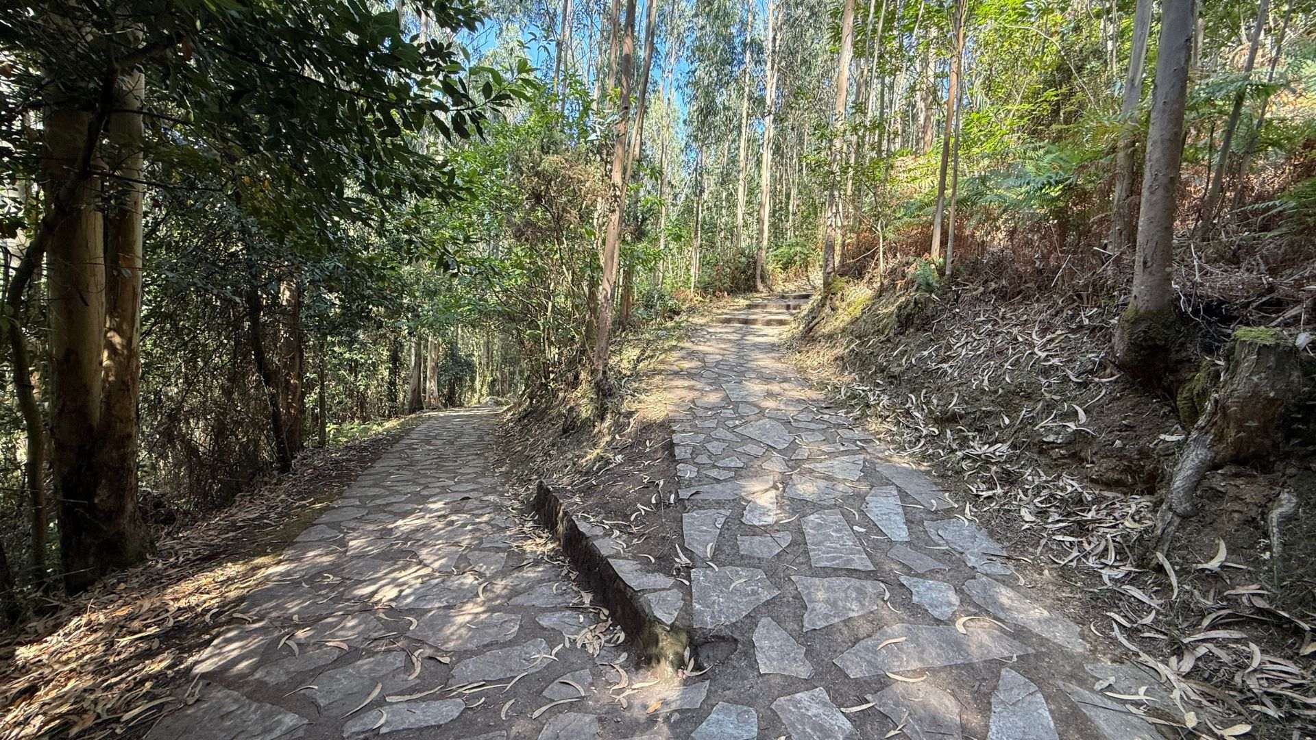 Camino para disfrutar todo el año