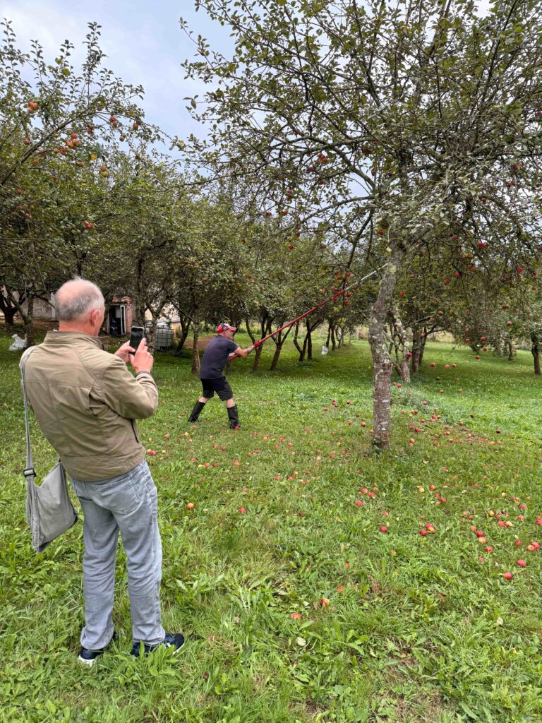 Pumarada  Viuda de Angelón