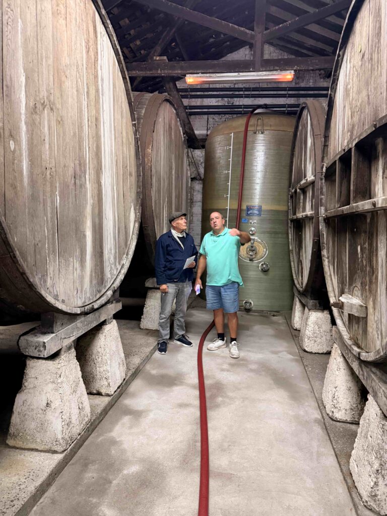 Sidra Viuda de Corsino